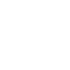magnifying glass icon