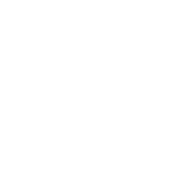 Closed padlock icon